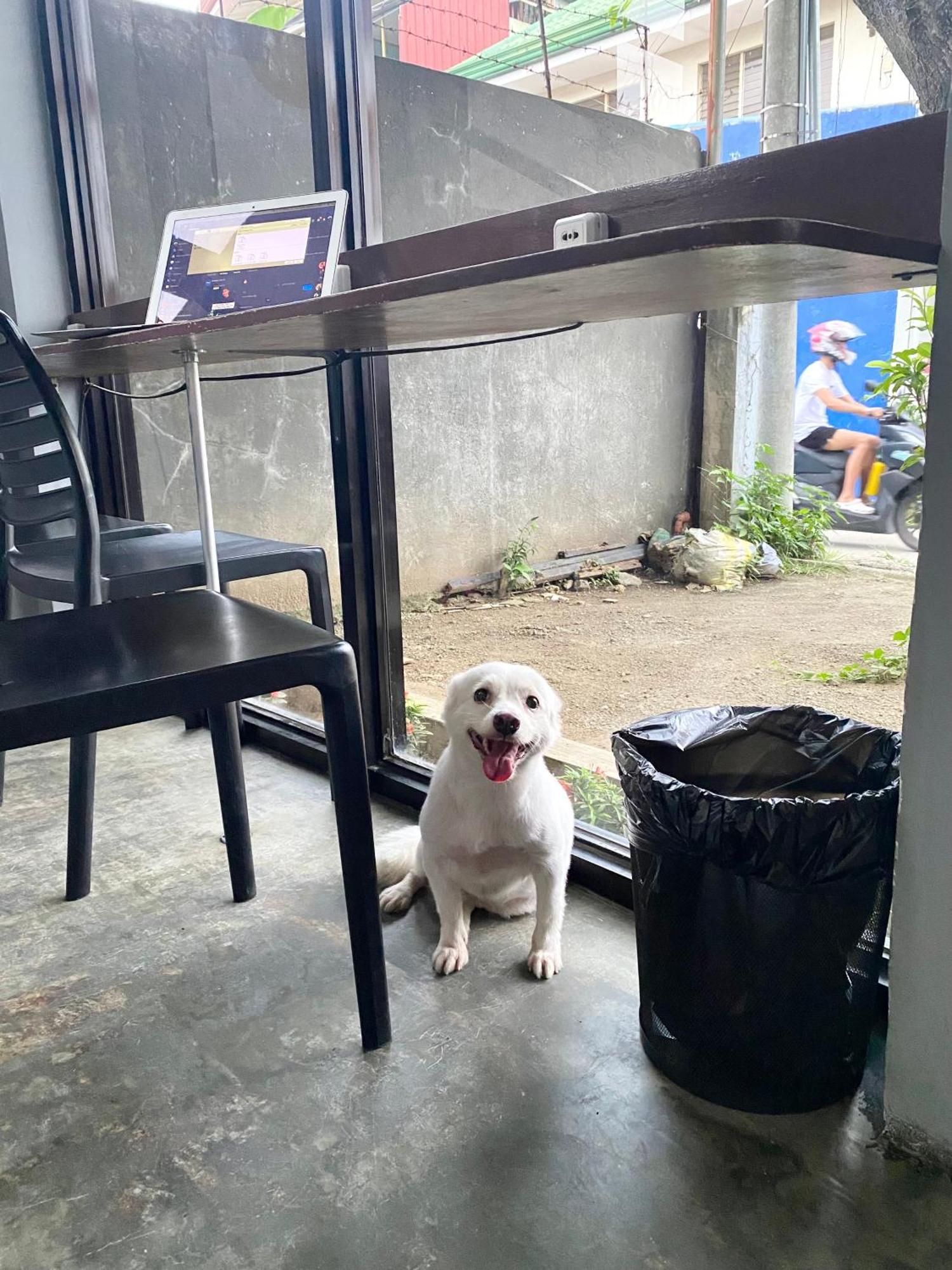 Oyo495口袋酒店 麦克坦 外观 照片